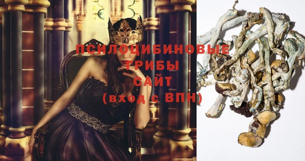 каннабис Алексеевка