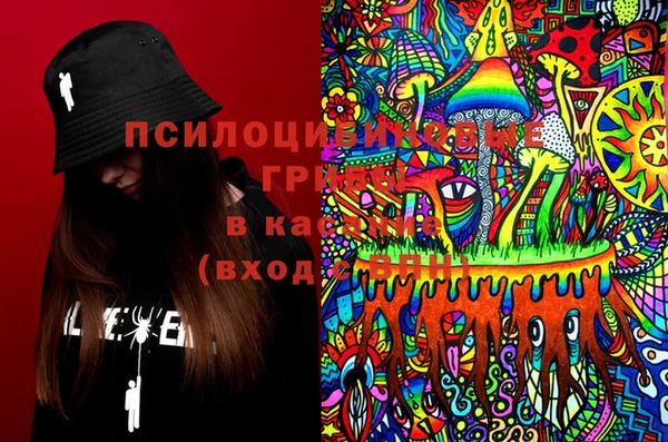 спиды Алексин