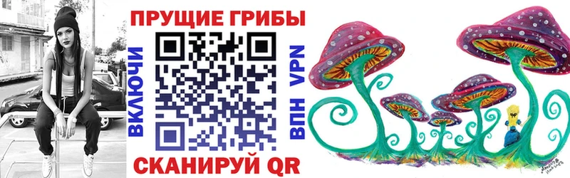 Псилоцибиновые грибы Cubensis Сатка
