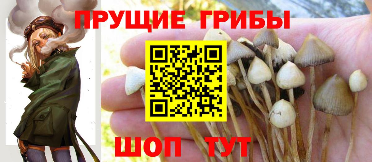 Галлюциногенные грибы Magic Shrooms Сатка